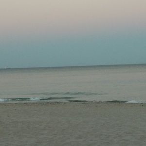 Meet your Posher, Joni